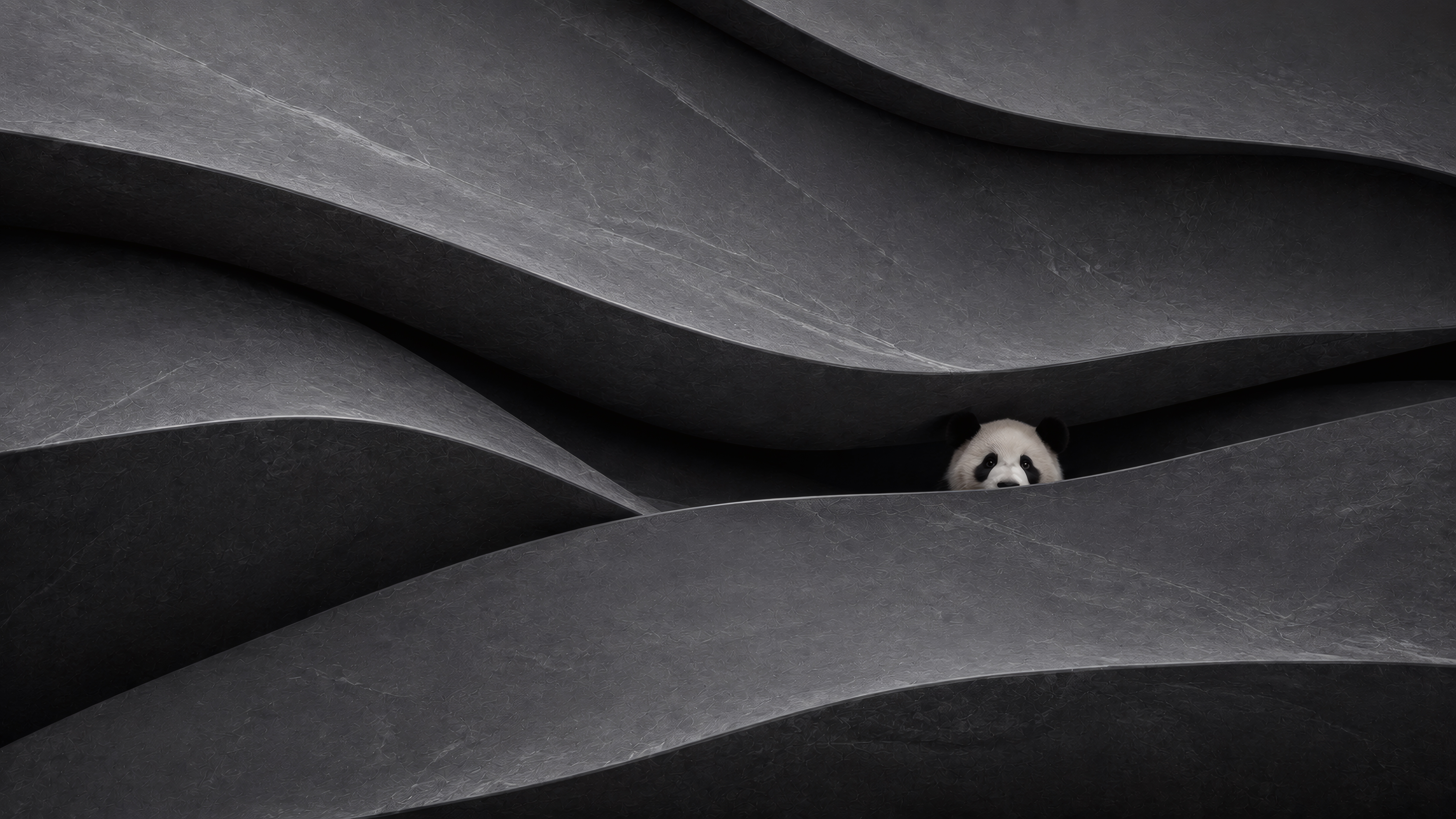 Monochrome Hiding Place wallpaper preview