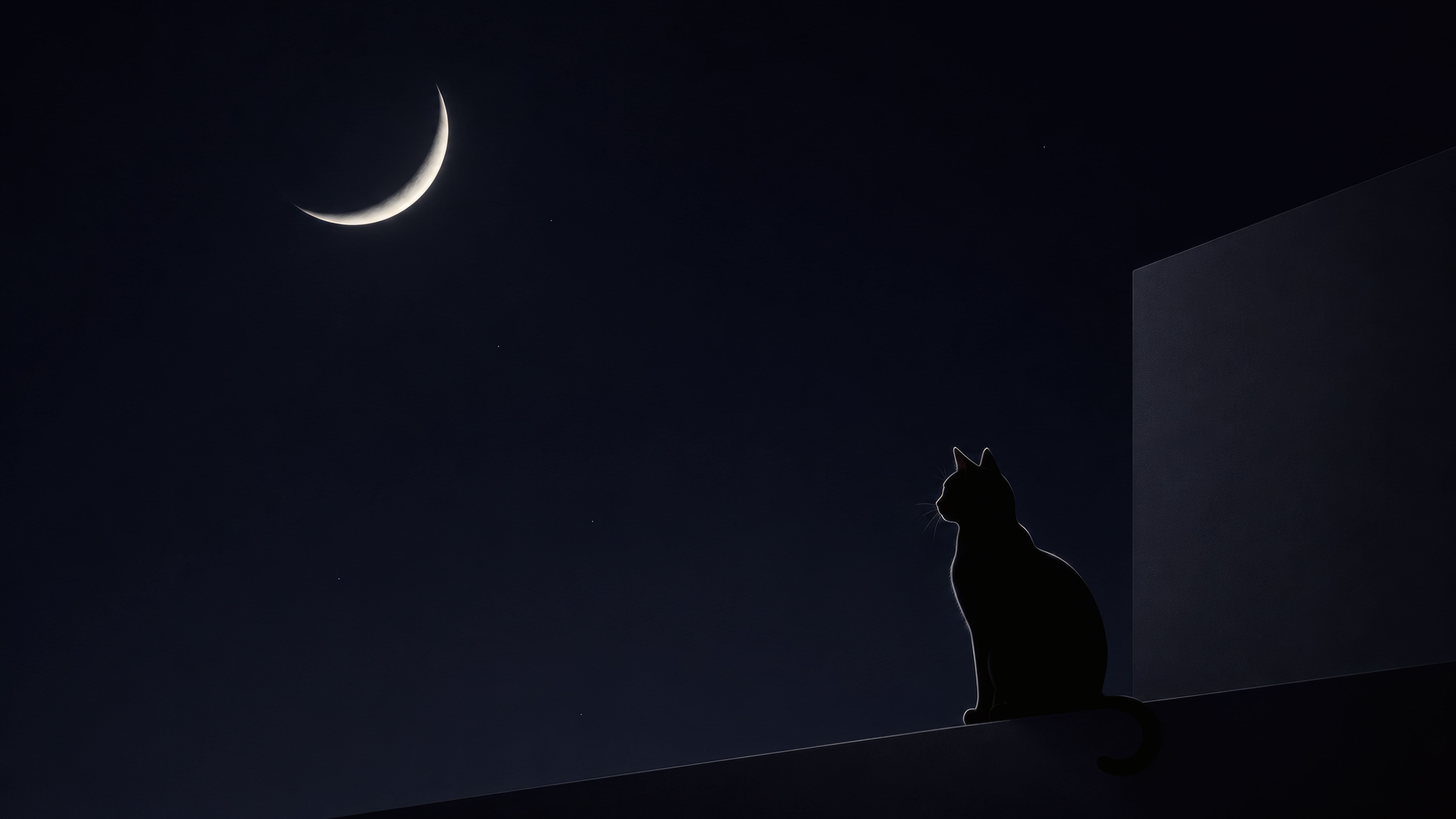 Midnight Silhouette wallpaper preview