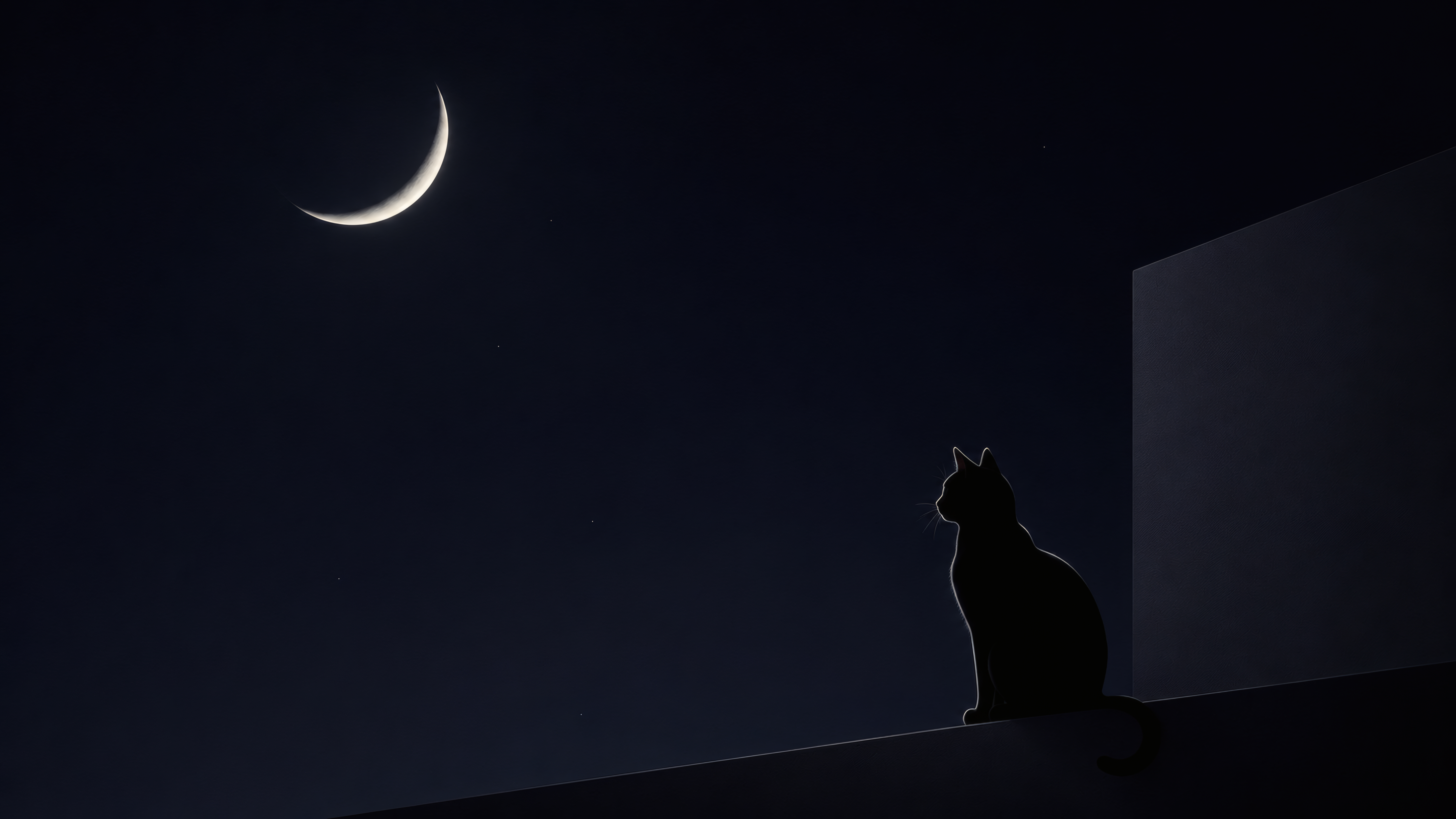 Midnight Silhouette wallpaper preview