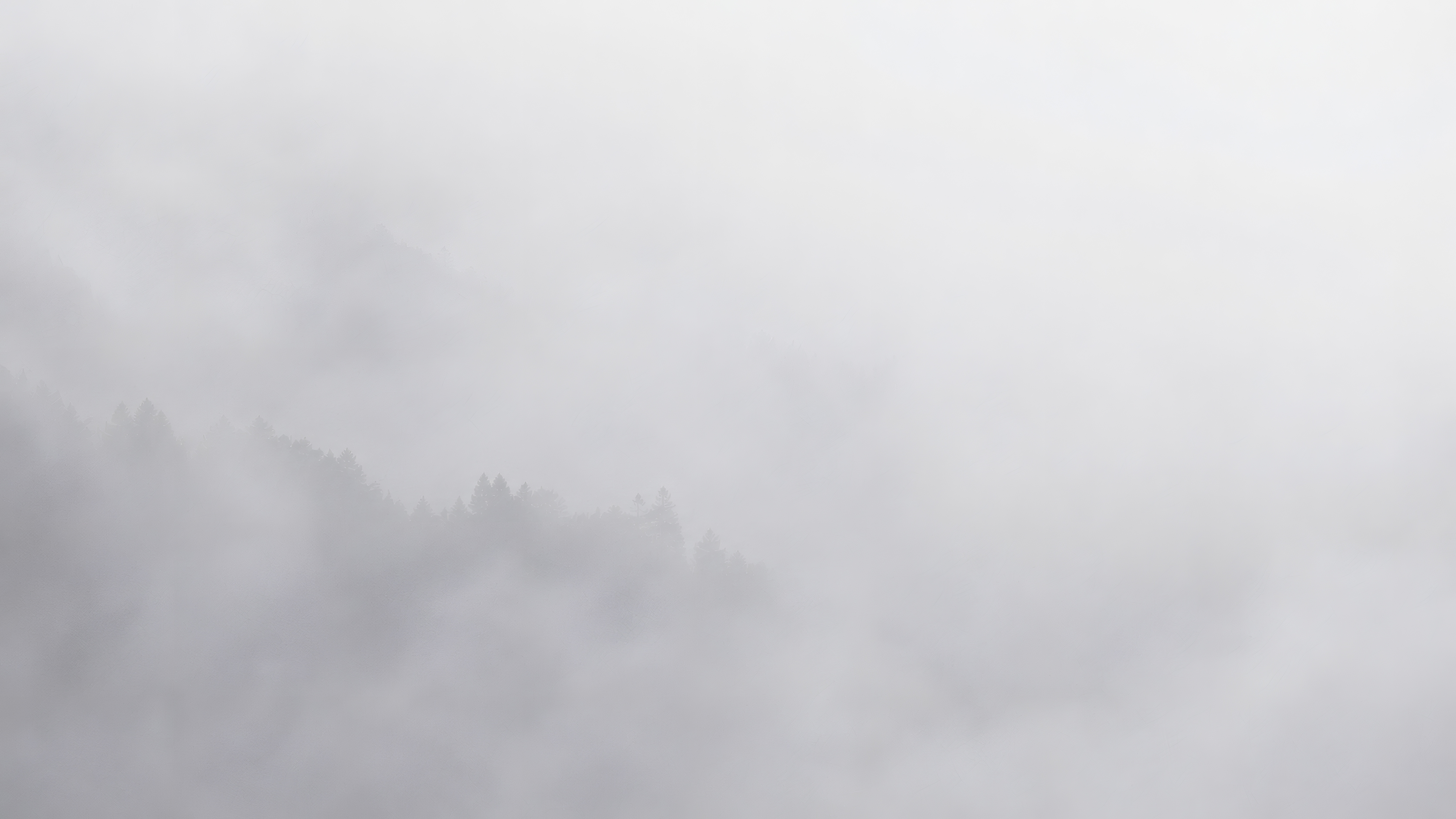 Misty Woodlands wallpaper preview