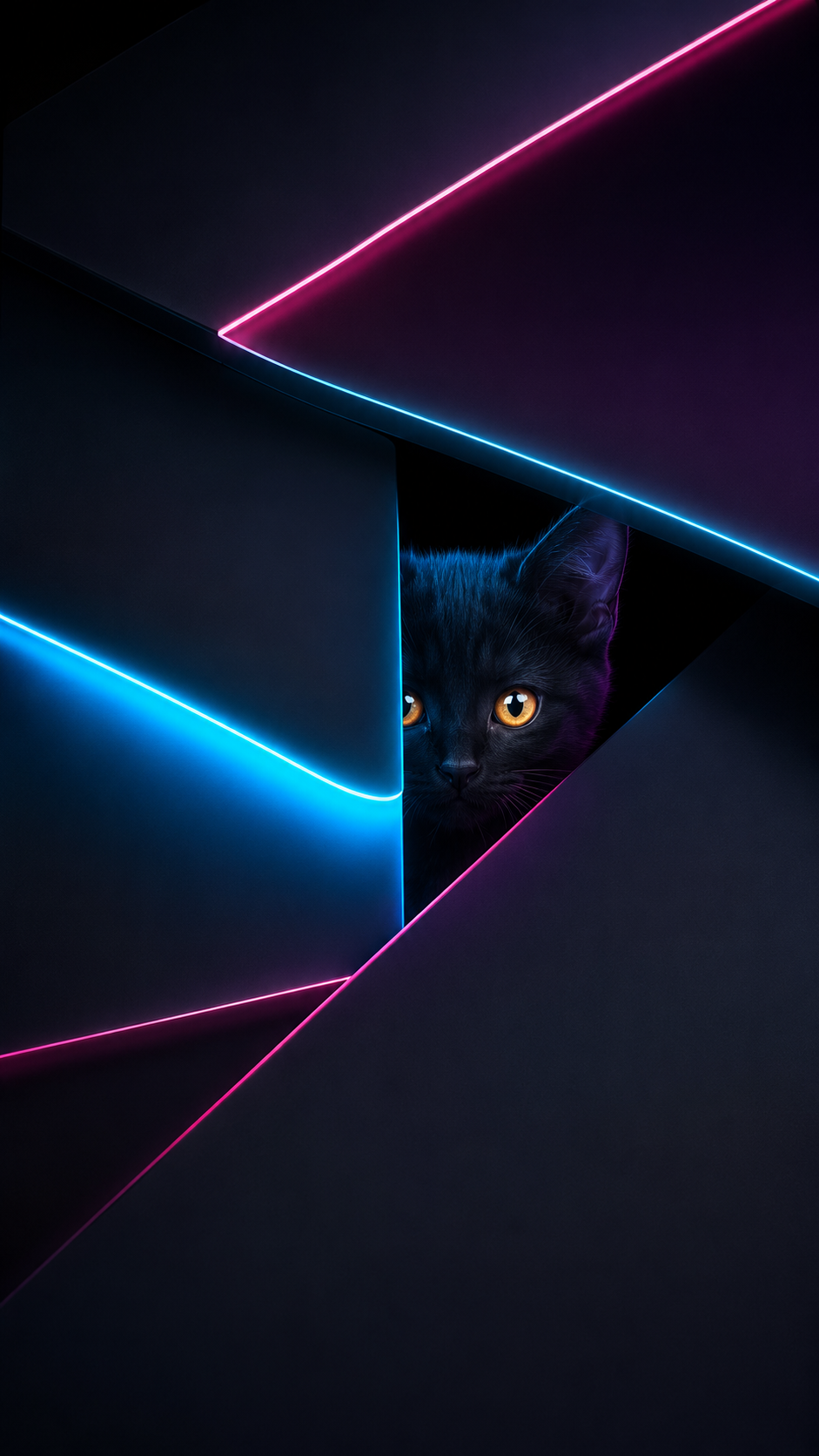 Kitten in the Geometric Neon Maze wallpaper preview