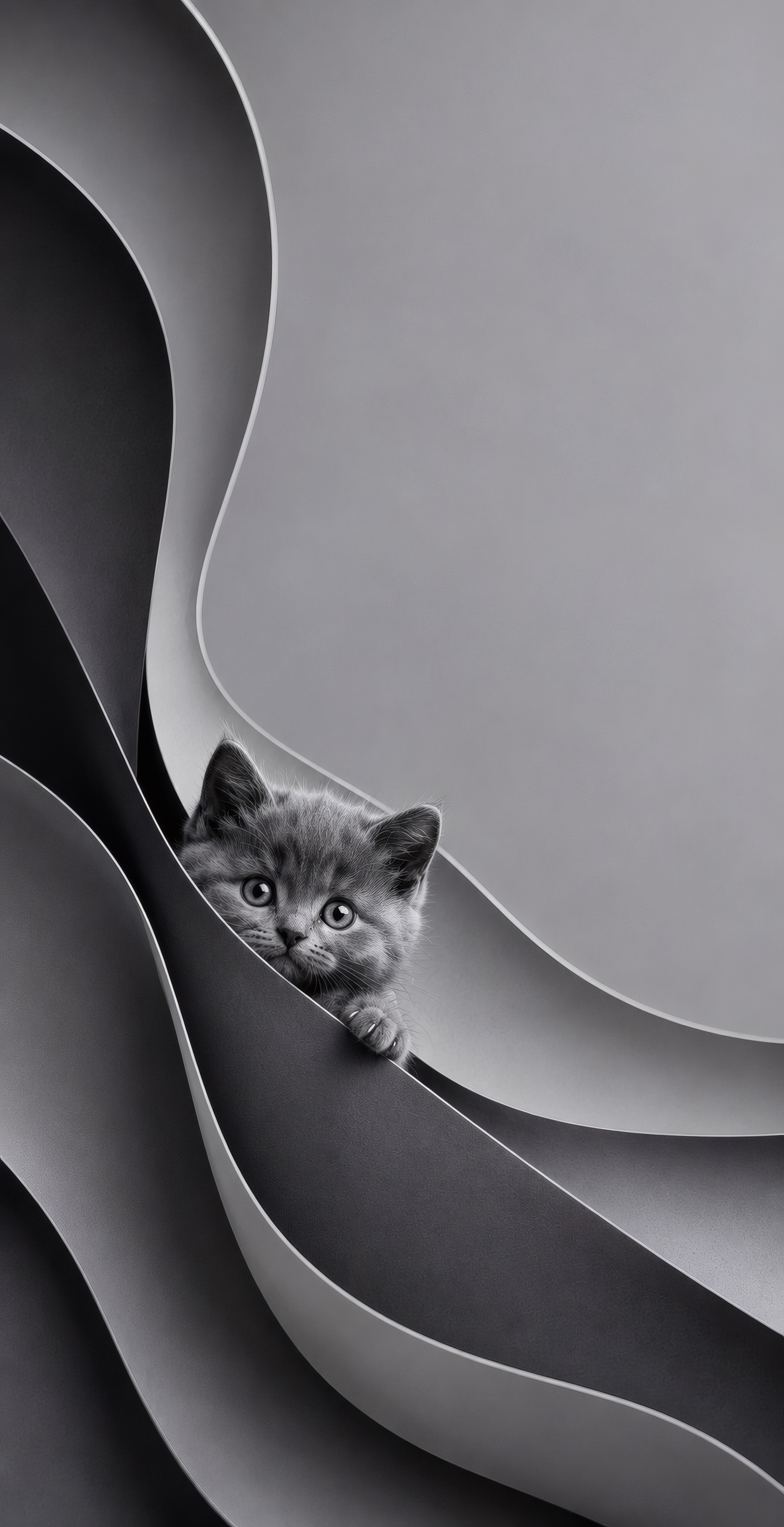 The Monochrome Peeper wallpaper preview