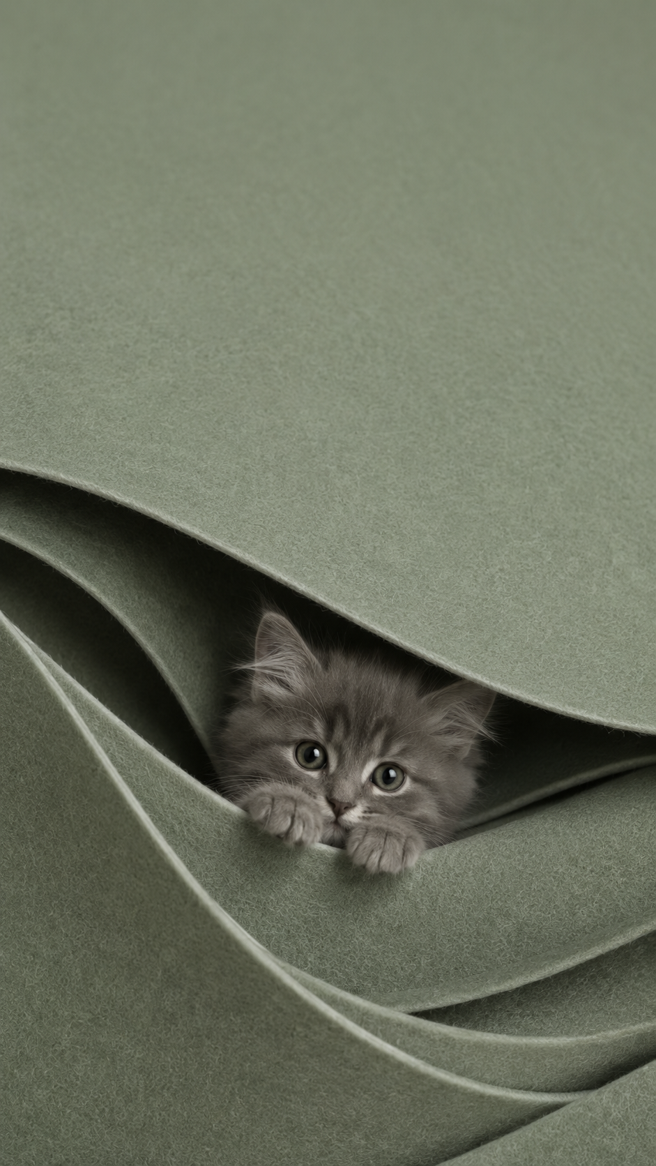 Kitten in Olive Felt Waves wallpaper preview