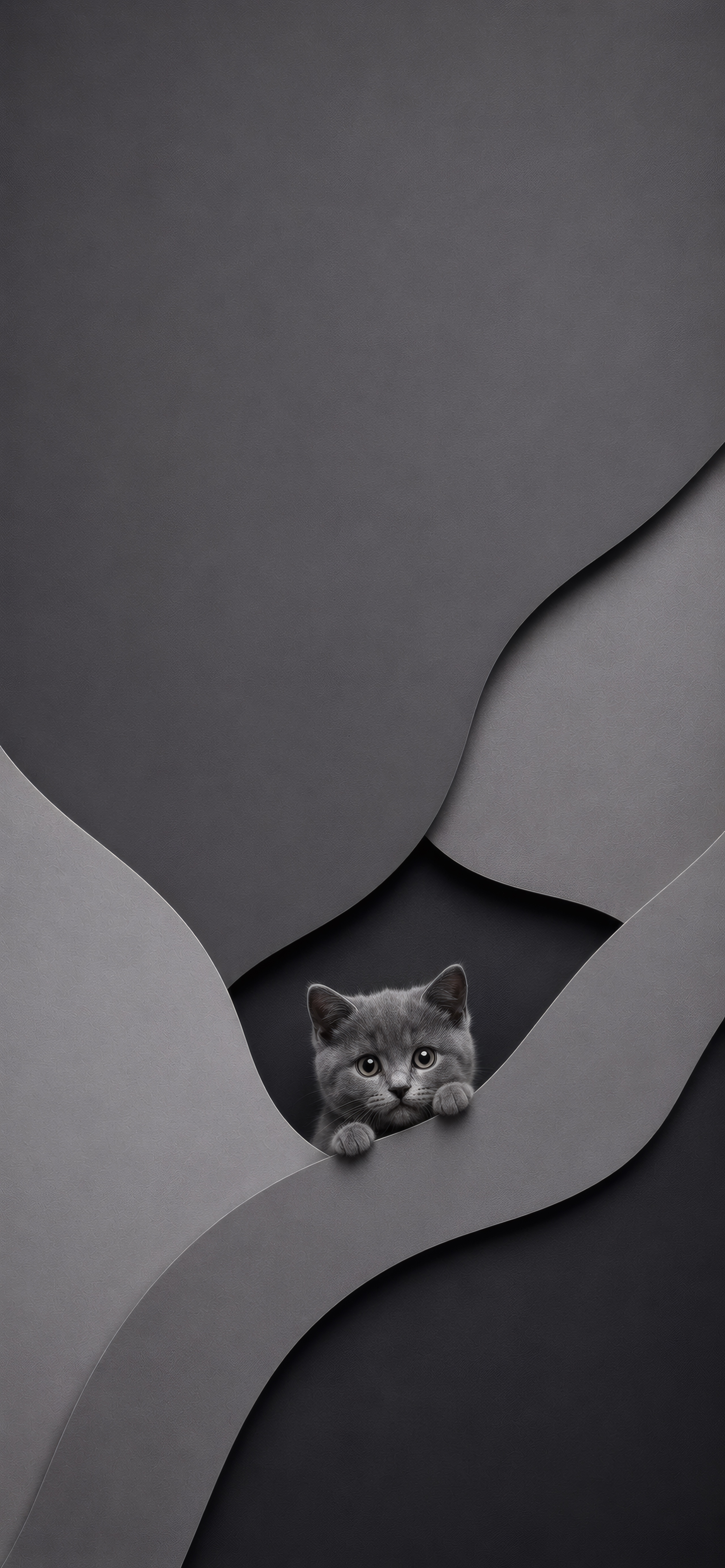 Curious Observer in Monochrome Layers wallpaper preview