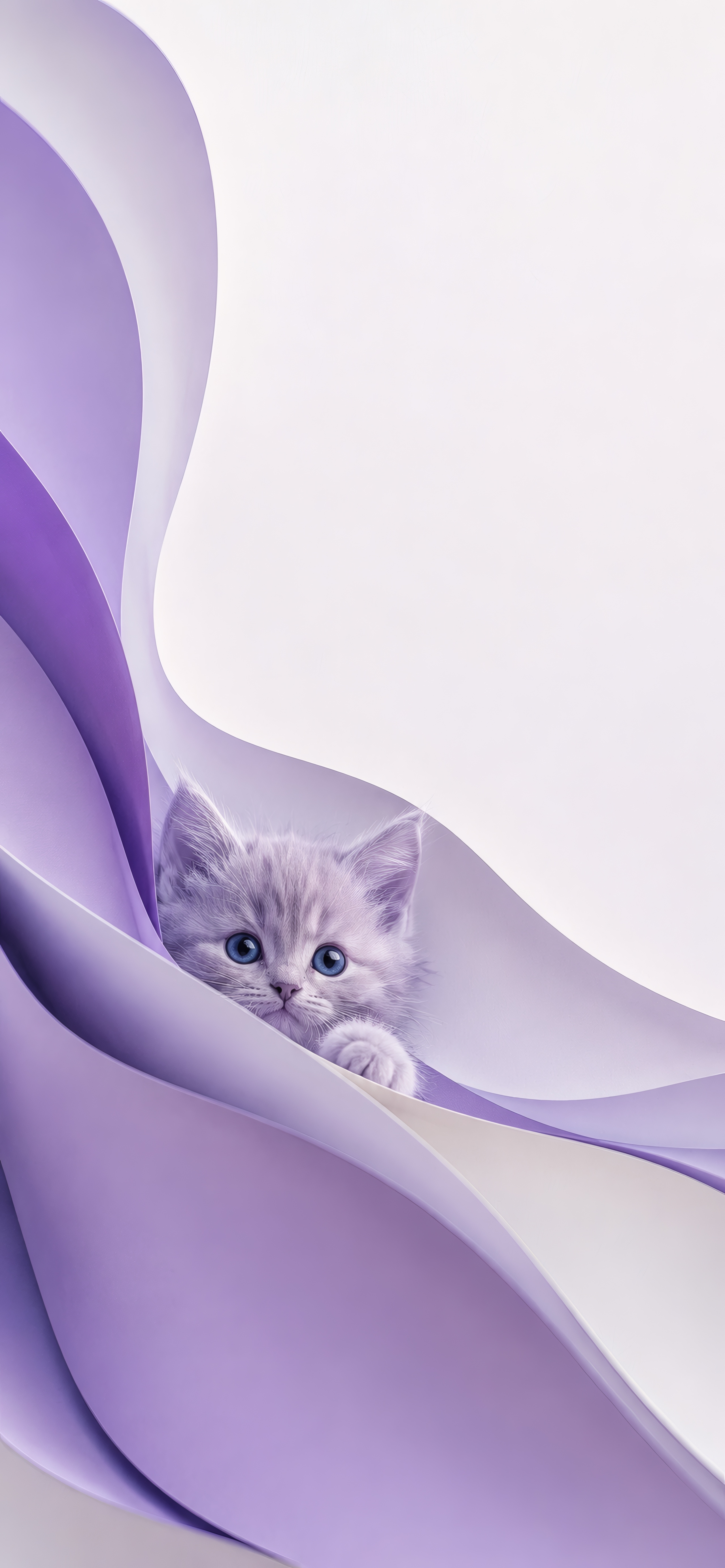 Curious Blue Gaze wallpaper preview